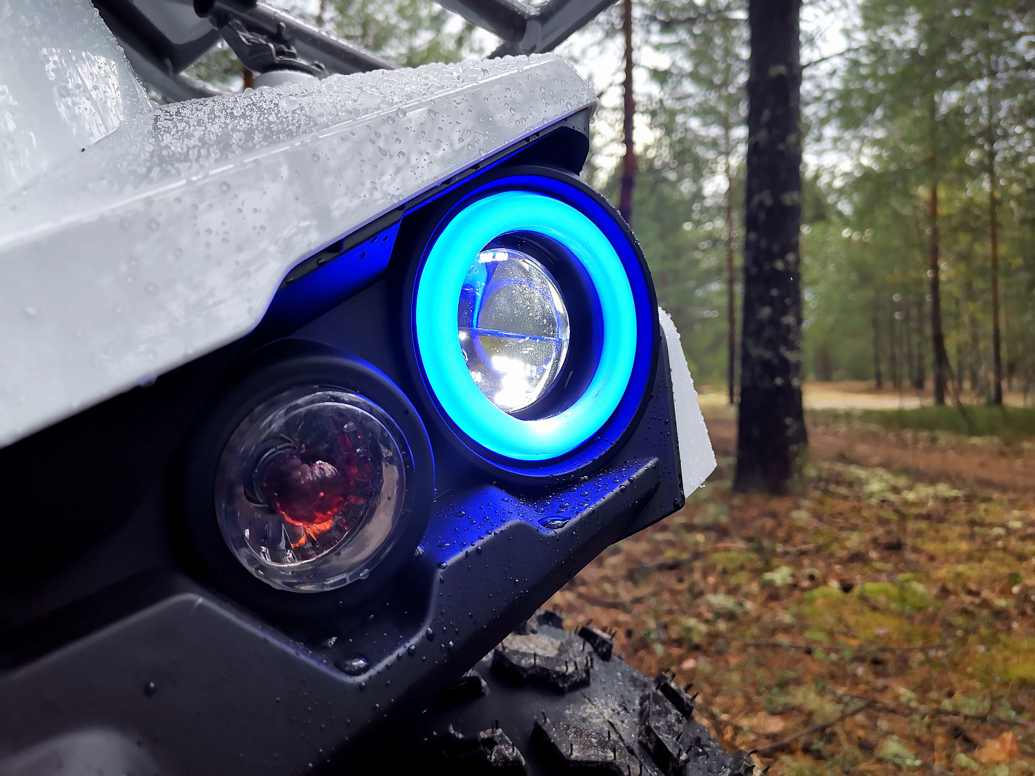 Квадроцикл PROMAX RENEGADE 280 (2025) в Артёме