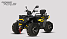 Квадроцикл PROMAX TAURUS 300 MAX-PRO LONG в Артёме